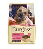 2 kg burgess dog sensitive schotse zalm / rijst hondenvoer