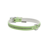 Ploeg Halsband Artleder 14mm Monte Carlo Appelgroen - Hondenhalsband - 37 cm