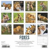 Vossen Kalender 2019