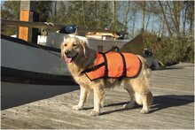 Beeztees Veiligheids/Zwemvest S 7-9kg