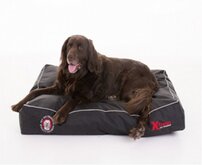 doggy bagg PJP Siesta Large-100x70cm