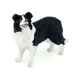 Border Collie hond plastic