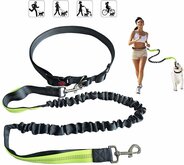 Looplijn met Heupriem Hands Free - Riem - Hond Looplijn – Hondenriem -  Hondenhalsband - Looplijn hond – hardloopriem – Looplijnen - heupriem – schokabsorberend – vering koord