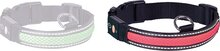 Nobby halsband verlicht verstelbaar en oplaadbaar rood 36-51 x 2,5 cm - 1 ST