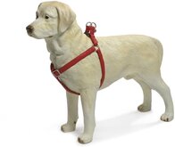 Beeztees - Borsttuig Hond - MacLeather - Rood - M - 50-75 cm
