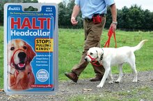 Halti anti-trek halsband nr. 3 - Zwart -bv voor retriever, labrador, dobermann - 1 st
