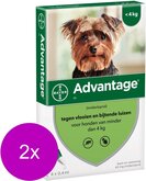 Advantage Hond 4 pip - Anti vlooien en luizenmiddel - 2 x 0.4 ml 1.5-4 Kg