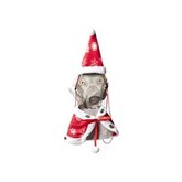 Kerstkleding voor de hond cape en muts