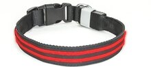 LED Halsband Oplaadbaar Rood 60-80cm PX1 Hilox
