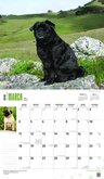 Mopshond Kalender 2018 Deluxe