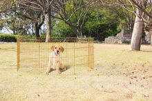 Dog Play Pen hondenren 8 panelen van 91 x 60 cm