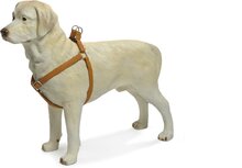 Beeztees - Borsttuig Hond - MacLeather - Bruin - L - 60-100 cm