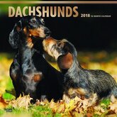 Teckels kalender 2018