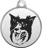 Bordercollie Tommy Tag B038