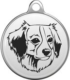 Kooikerhondje Tommy Tag K015