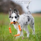 Tussel Dummy, klein Major Dog