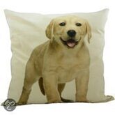 Mars & More Hond Labrador Blond - Sierkussen - 50x50 cm - Multi
