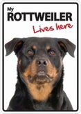 Rottweiler lives here