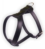 Dog's Companion Leren Harnas - 57-67 cm x 25 mm - 70 cm lang - Zwart