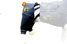 Medical Pet Shirt HLS Hind Leg Sleeve M
