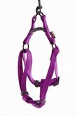 Martin sellier instap tuig voor hond nylon paars 15 mmx30-50 cm