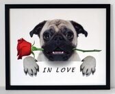 Hondenposter met tekst 1 poster in lijst/dieren/funny