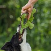Hondenspeelgoed Frog met Pluche