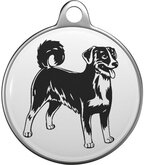 Appenzeller Sennenhund  Tommy Tag A023