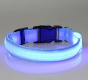 hondenhalsband led verlichting small blauw