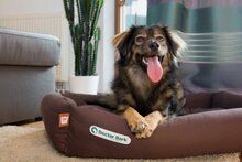 Doctor Bark hondenbed bruin, maat S
