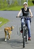 Flamingo Fietsbeugel Doggy sprinter  - Zilver