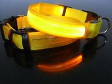 Led hondenhalsband Geel Large 45 - 52 cm
