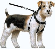 Yuppie-puppy anti trek tuig zwart medium - 1 st