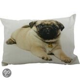Mars & More Hond Mops Baby - Sierkussen - 50x35 cm - Wit/Bruin
