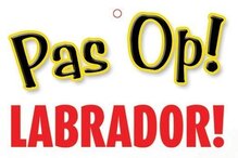 Labrador Retriever Waakbord - Pas Op