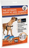 The Happy At Heel Harness, 44-54cm (S)