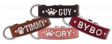 Hondenhalsband met naam Medium Red