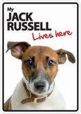Jack Russell lives here