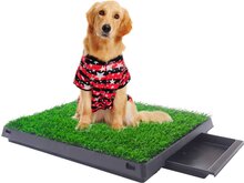 Honden Toilet Indoor - Binnen voor Huisdieren - Medium 63 x 50 cm - Hondentoilet - Zindelijkheidstraining Puppy - Zindelijk maken -  Trainingpads - Grasmat