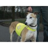 Veiligheidshesje voor de hond 40 cm