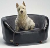 Dogbed Hondenbed Oxford XS - Zwart