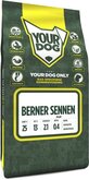 Yourdog Berner Sennenhond Pup - 3 KG