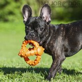 Grijp bal Octopus, klein Major Dog