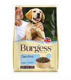 2 kg burgess dog sensitive puppy kalkoen / rijst hondenvoer