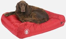 Doggy Bagg Ligzak X-treme Chili Pepper