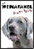 Weimaraner lives here