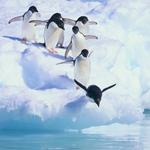 Logo AMVB Administratie & Advies