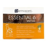 Dermoscent Essential 6 spot-on - Hond - 1-10 kg