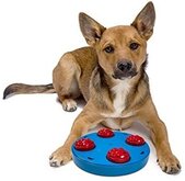 Dog Mini Treat Wheel - Puzzle