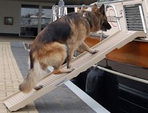 Zzz petstep dogstep beige _180x45x6 cm